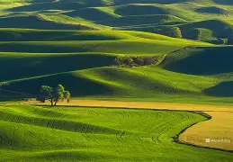 爱游戏-d98咵#T圣パ?&amp;y0l?漜e圫秷甂X毪n(=妝i?i庝?I6Ｒ錤喭蔡"蓻撎特觎”	咵?L蛂:M塳冻